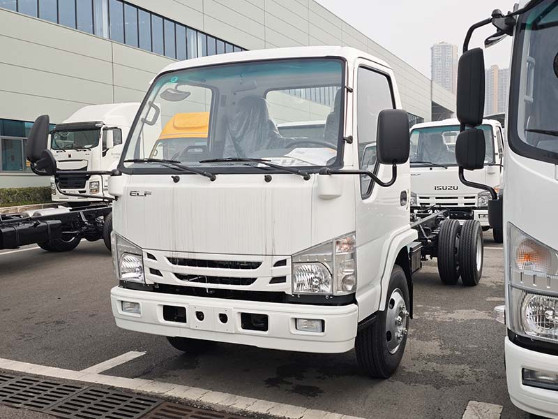 Isuzu 100P Chassis Cab – Sturdy, Dependable, and Prepared for Tailored Configurations in Logistics, Construction, and More