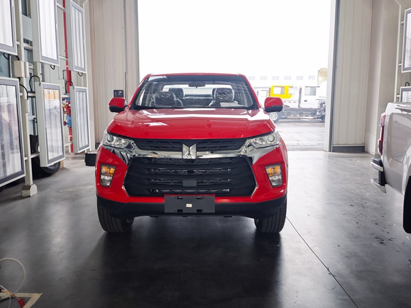 LHD Japan Taga H Diesel 3.0t 4WD/4X4 Mt/Manual off-Road Double Cabin Pickup Truck