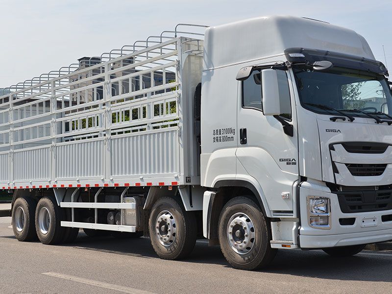 ISUZU GIGA 10 wheel cargo trucks manual transmission 8x4 LHD van trucks for sale