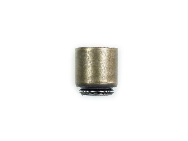 Valve seal