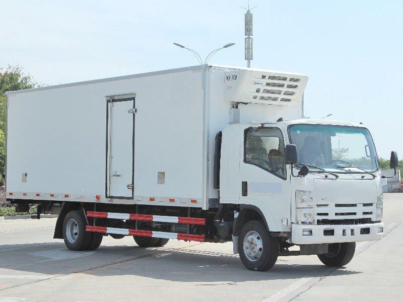 Qingling ELF freezer truck