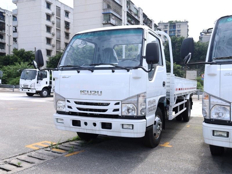 2-5 Ton Isuzu 100P 4X2 Light Cargo Van Truck with Single Cabin