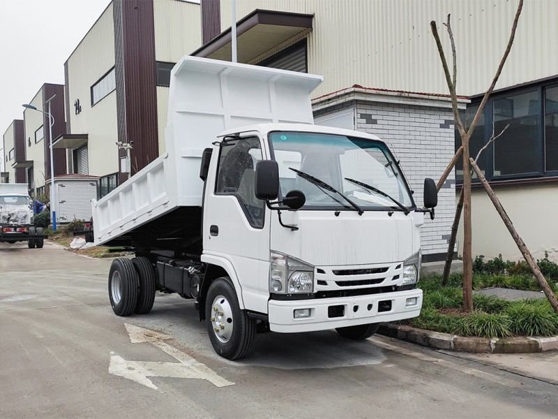 Factory Price for ISUZU 100P NKR light dump truck