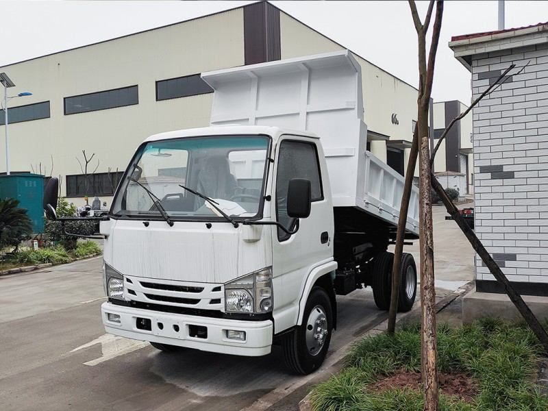Factory Price for ISUZU 100P NKR light dump truck