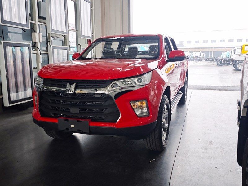 LHD Japan Taga H Diesel 3.0t 4WD/4X4 Mt/Manual off-Road Double Cabin Pickup Truck