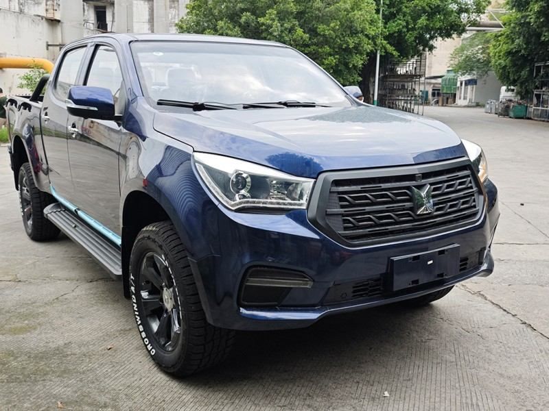 New Car Qing-Ling T28 Pickup Trucks 4WD/2WD Diesel on Sale